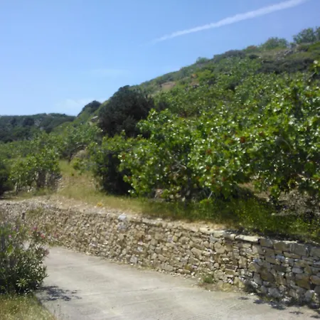 In Sifnos With Panoramic Sea View Platis Gialos (Sifnos)