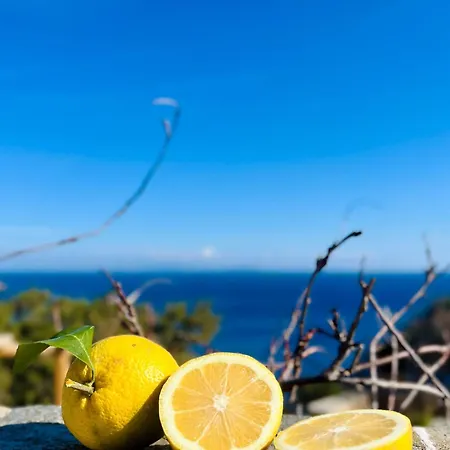 In Sifnos With Panoramic Sea View Platis Gialos (Sifnos)